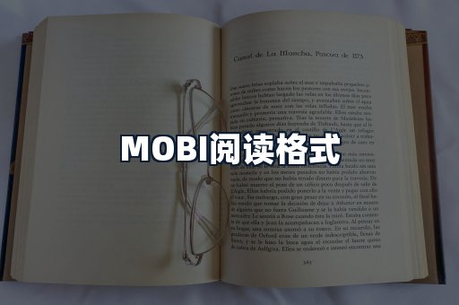 MOBI阅读格式